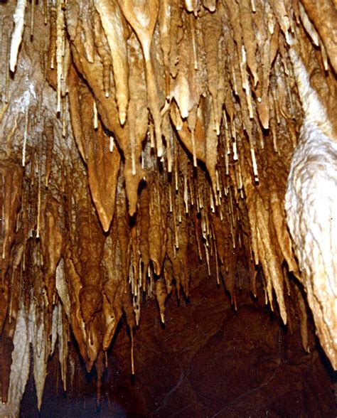 The Mathematical Tourist Limestone Cave Formations