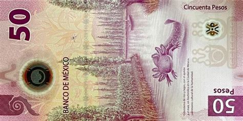 Triunfa El Ajolote Billete Mexicano De Pesos Gana Premio Al Mejor De