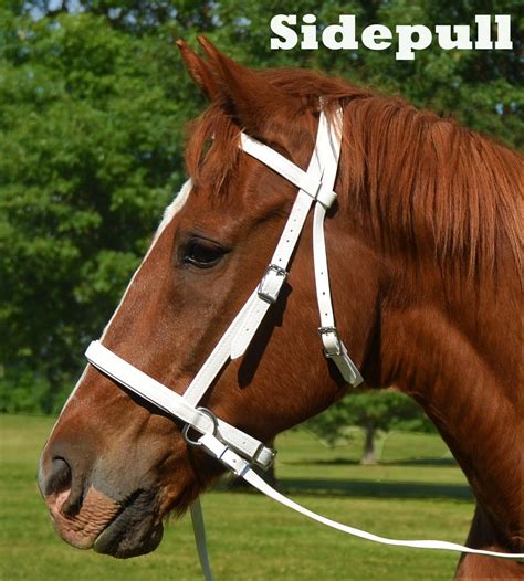 2 In 1 Bitless Bridle Made From Beta Biothane Solid Colored Etsy
