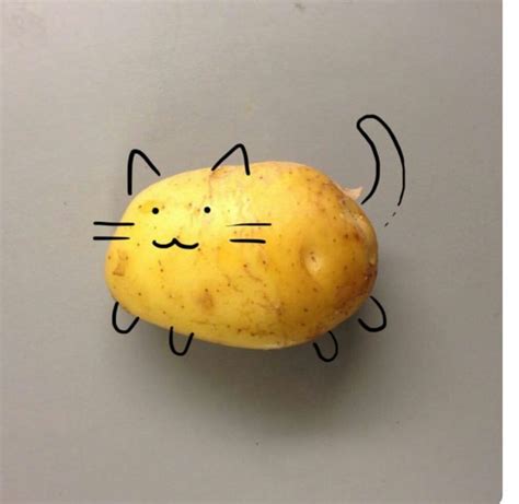 potato cat potato cat cute potato drawing tutorial easy