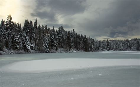 Download Wallpaper 3840x2400 Trees Lake Ice Snow Winter 4k Ultra Hd