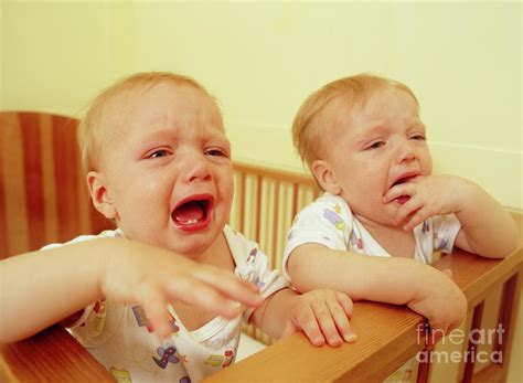 Twin Boys Crying Photograph By Paul Whitehillscience Photo Library