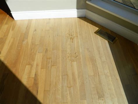 How to Get Rid of Yellow Stains From a Rug on Flooring?