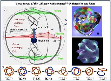 A Torus As A Dynamic Model For The Recreation Rebirth Of Our