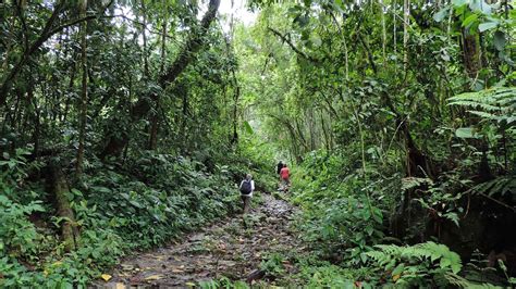Travel with Kevin and Ruth!: Six miles in the Colombian jungle