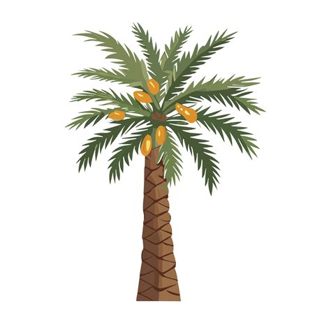 Cartoon Date Palm Tree