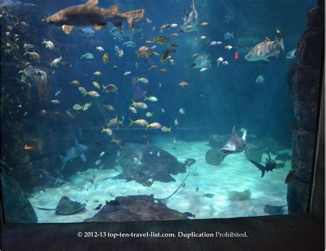 Large Colorful Fish Tank At The Virginia Aquarium In Virginia Beach