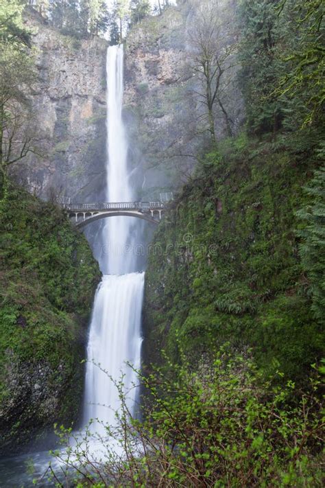 Multnomah Falls Oregon Stock Photo Image Of Blur Cliff 109795444