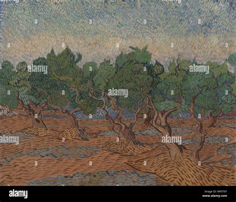 English Olive Grove Nederlands Olijfgaard English Painting By