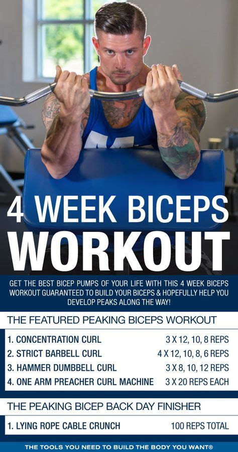 11 Best Bicep Workout Routine Ideas Workout Routine Workout Biceps