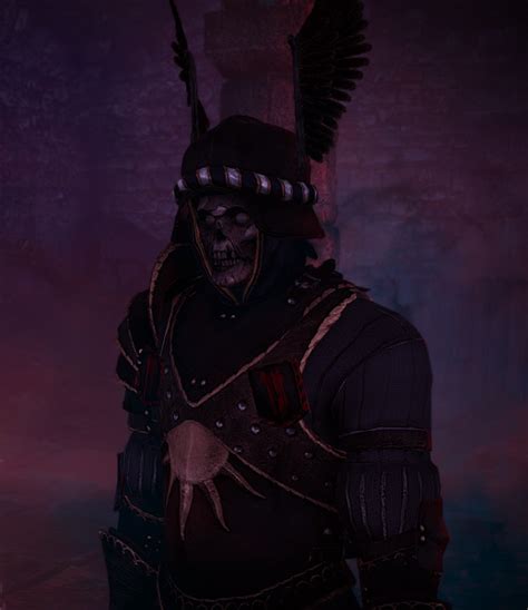 Katakans are a vampire race found in the northern kingdoms, where they first appeared around the 230s br, through the conjunction of the spheres. Nilfgaardian's wraith | Witcher Wiki | Fandom