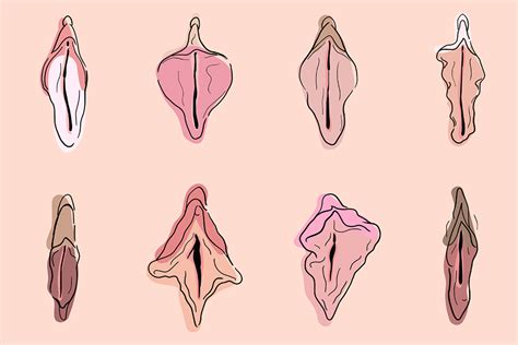 Las Vulvas Son Todas Iguales Todo Lo Contrario