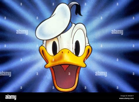 Donald Duck Portrait Credit Disney Duck 008 Stock Photo Alamy