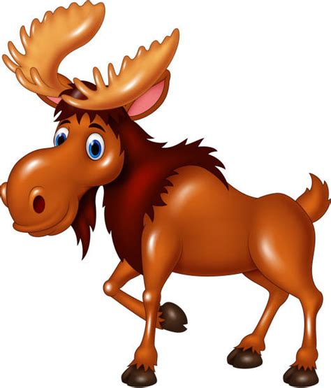 Best Moose Cartoon Illustrations Royalty Free Vector Graphics And Clip