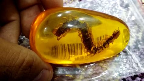 Insect Inside Amber From Banggood Youtube