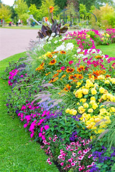 40 Colorful Garden Ideas Color Explosion