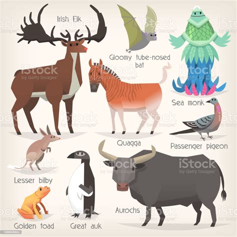 Objectives • students will learn that coral is an animal. List Of Extinct Animals | Examples and Forms