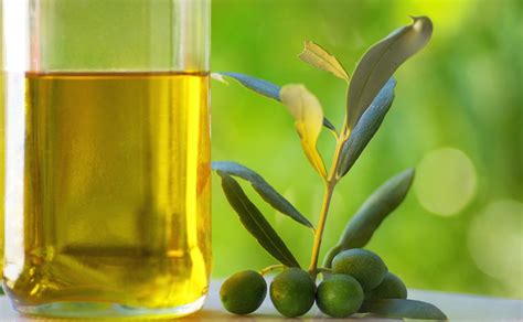 aceite de oliva arbequina un zumo de aceitunas de exquisitez inigualable