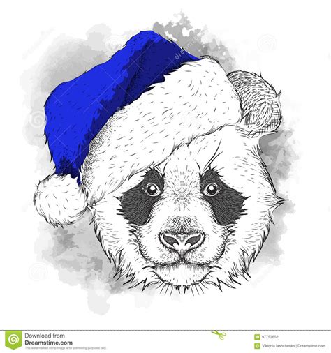 The Christmas Poster With The Image Panda Portrait In Santa`s Hat Hand