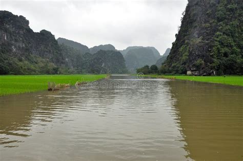 Rice Fields And Limestone Cliffs Tam Coc Vietnam Stock Image Image