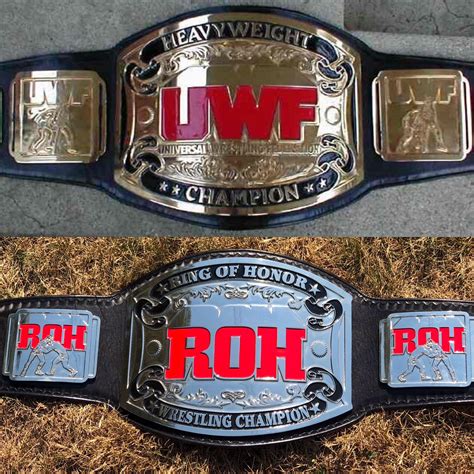 I Was Today Years Old When I Realized That The Og Roh World Title Belt