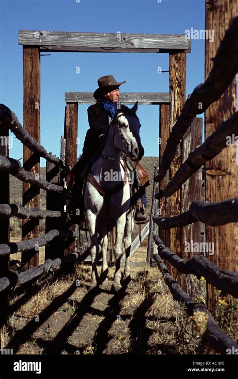 Cowboy And Horse In A Fenced Chute On A Western United States Ranch