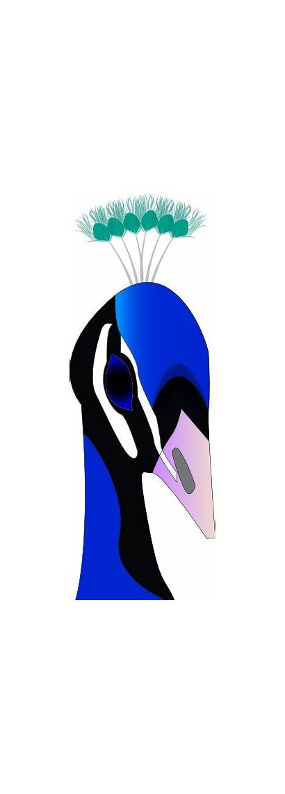 Peacock Clipart Head Clip Cliparts Clker Feather