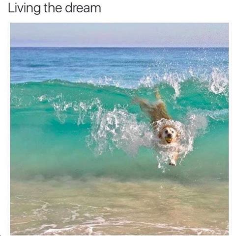 10 Funny First Day Of Summer 2018 Memes Youll Relate To If Youre