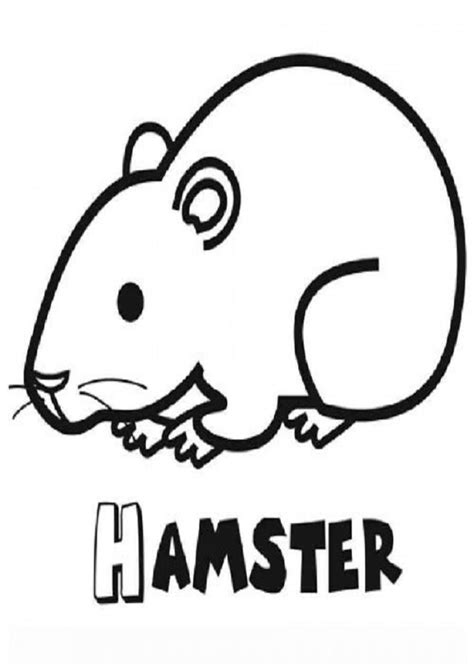 Hamster para colorear - Dibujosparacolorear.eu