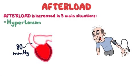 Afterload Cardiac Muscle Mechanics In 4 Minutes Youtube