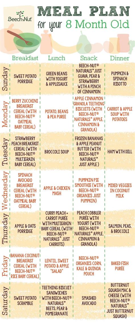 8 month old baby food. Baby Food Meal Plan for Your 8-Month-Old - Adding Texture ...