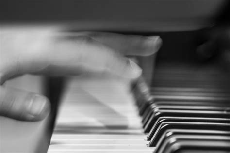 Hình ảnh Tay Người Âm Nhạc đen Và Trắng Bàn Phím Công Nghệ Nhiếp ảnh Chơi đàn Piano