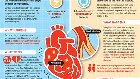 10 Tips To Boost Heart Health And Prevent Heart Disease