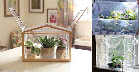 24 Diy Mini Indoor Greenhouse Ideas For Winter And Early Spring