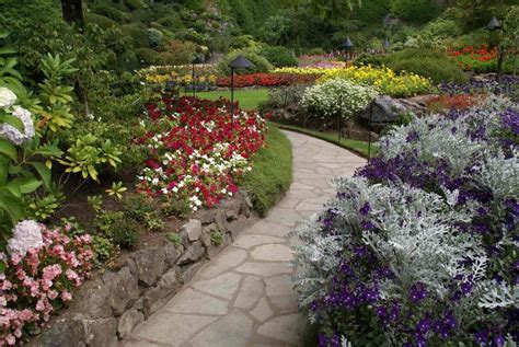 Paver Ideas For Your Yard Lawnstarter