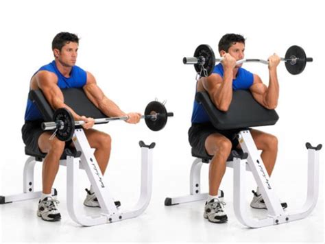 Barbell Preacher Curl Biceps Training Biceps Workout Barbell