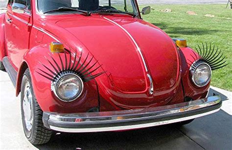 Best Eyelashes For A Volkswagen Beetle