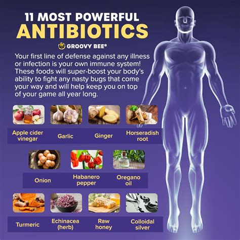 11 Most Powerful Antibiotics Boost Body Health And Wellness Antibiotic