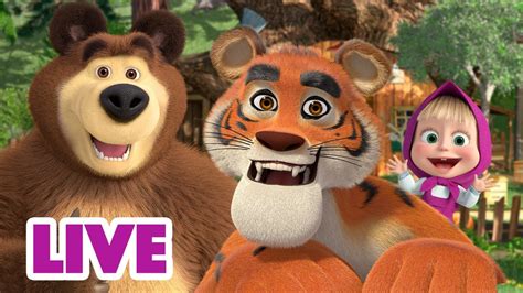 🔴 Live Stream 🎬 Masha And The Bear 🤗 Friends Assemble 📍🗺️ Youtube