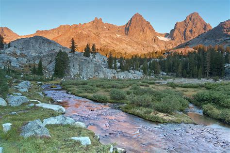 Usa California Inyo National Forest Photograph By Jaynes Gallery Pixels