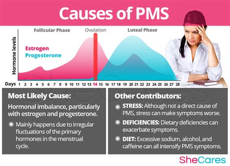 Premenstrual Syndrome Causes