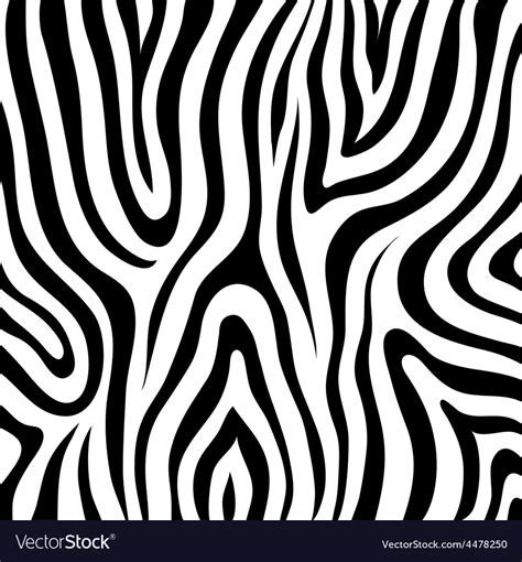 Zebra Texture Royalty Free Vector Image Vectorstock