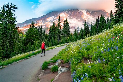 10 Epic Wildflower Hikes At Mt Rainier National Park Photos