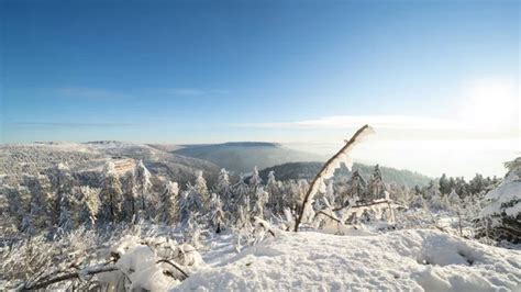 Stunning Background Panorama Snowy Frozen Landscape Snowscape Winter