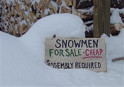 Snowman Funny Signs Dump A Day