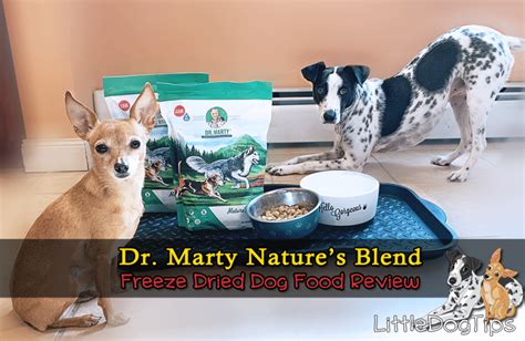 Each batch is filled with whole ingredients like real cuts of meat, veggies, and fruit to help support easier digestion, a healthy immune system, and. Dr. Marty Nature's Blend Freeze Dried Food Review - Little ...