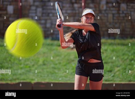 A professional female tennis player serves the tennis ball on the court