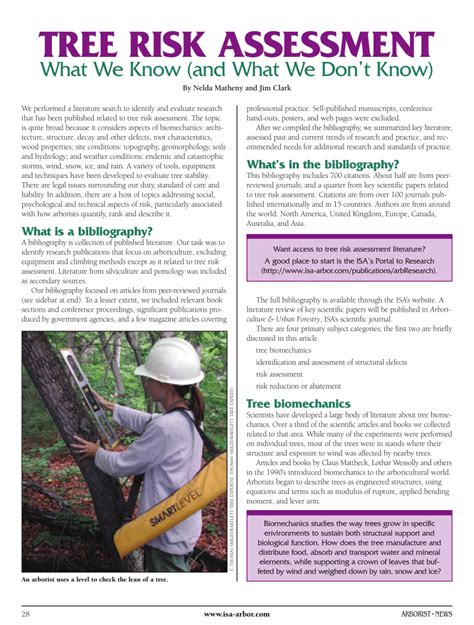 Tree Risk Assessment Report Template