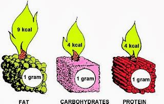 How many kcal are there in 1 gram of carbohydrate. DIET WHAT IT REALLY MEANS!!!!!!!!: Energy Giving Nutrients