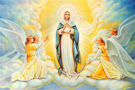 Feast Of The Assumption Our Mother Of Confidence